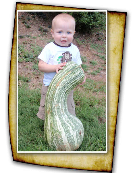 toddler next to a large kershaw plant